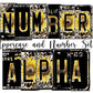 Sunflower Leopard Number Plate Alphabet Uppercase Numbers PNG, Western Country Alphabet PNG Digital Download