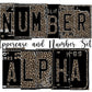 Leopard Print Number Plate Alphabet Uppercase Numbers PNG, Classic Country Alphabet PNG Digital Download