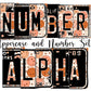 Smiley Face Number Plate Alphabet Uppercase Numbers PNG, Retro Alphabet PNG Digital Download