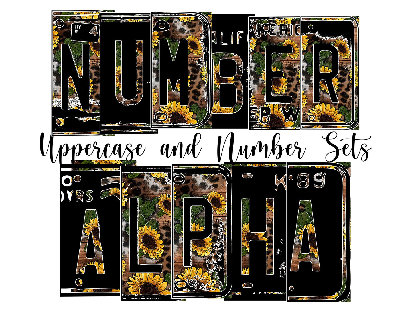 Cactus floral Number Plate 20 oz Tumbler with Matching Alphabet PNG, Leopard print Alphabet PNG Digital Download